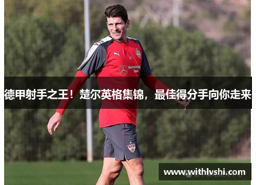 德甲射手之王！楚尔英格集锦，最佳得分手向你走来